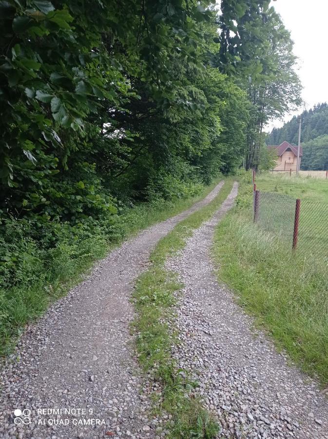 Садиба Брусний Mikuliczyn Zewnętrze zdjęcie