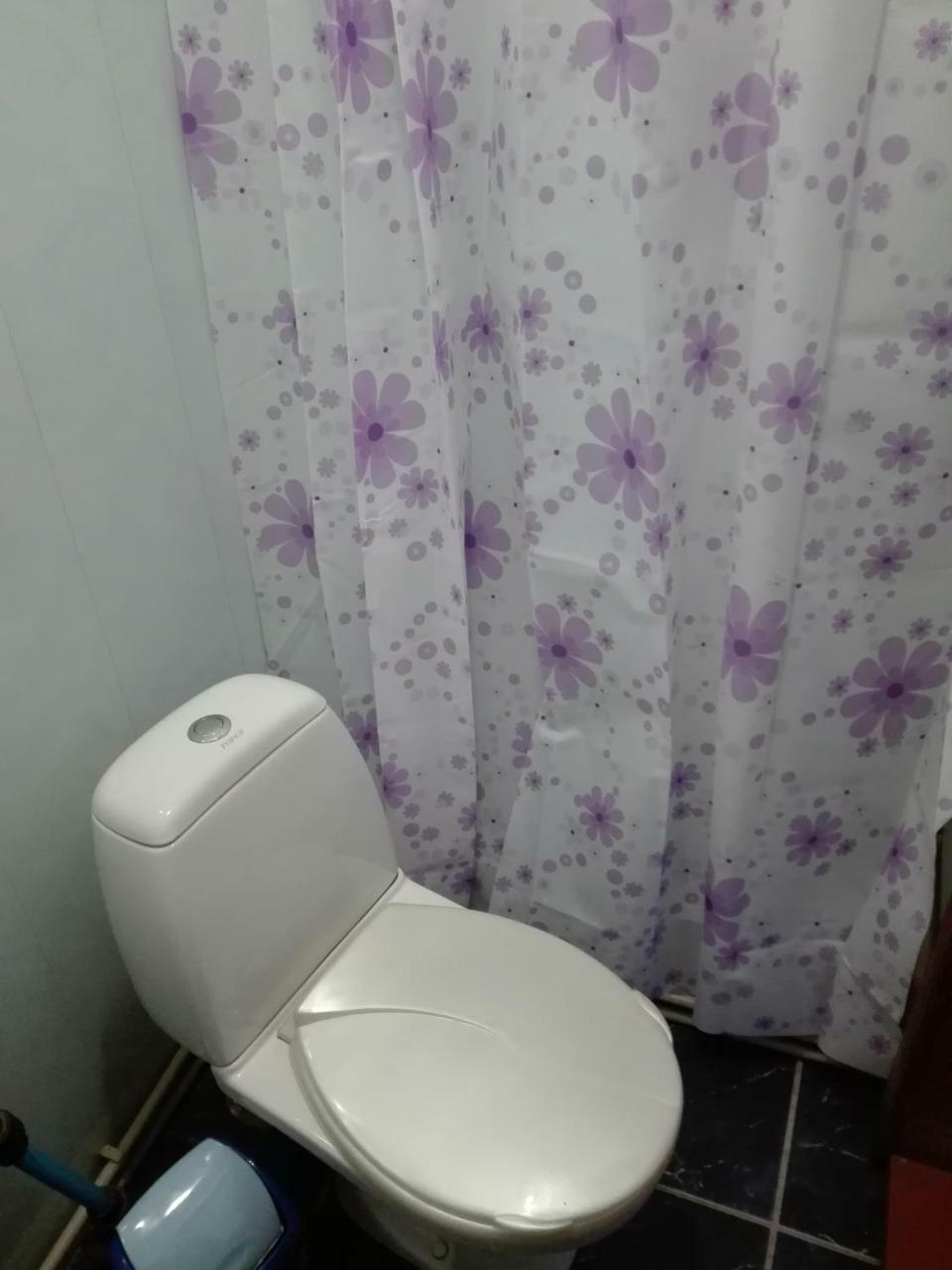 Садиба Брусний Mikuliczyn Zewnętrze zdjęcie